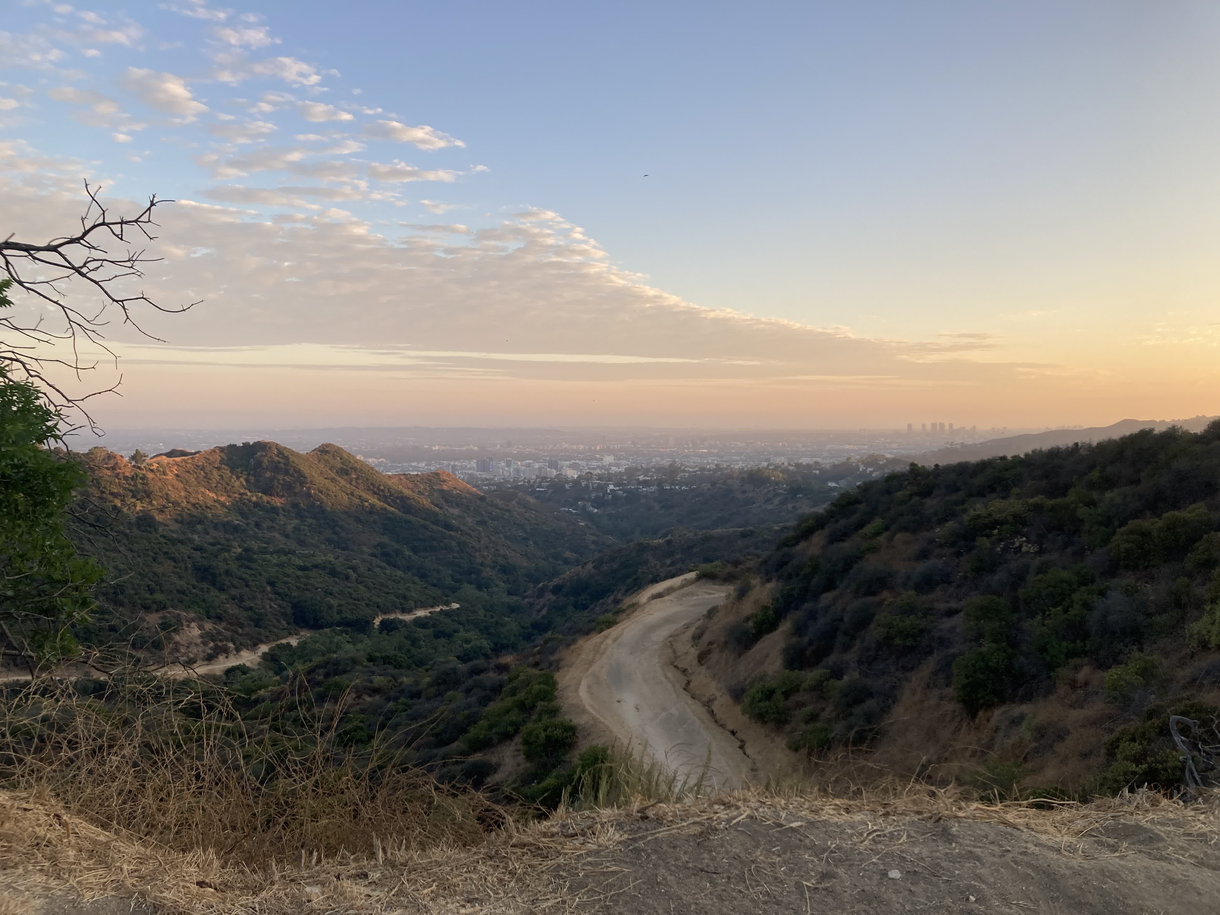 LA from a Griffith Park bike ride a few days ago